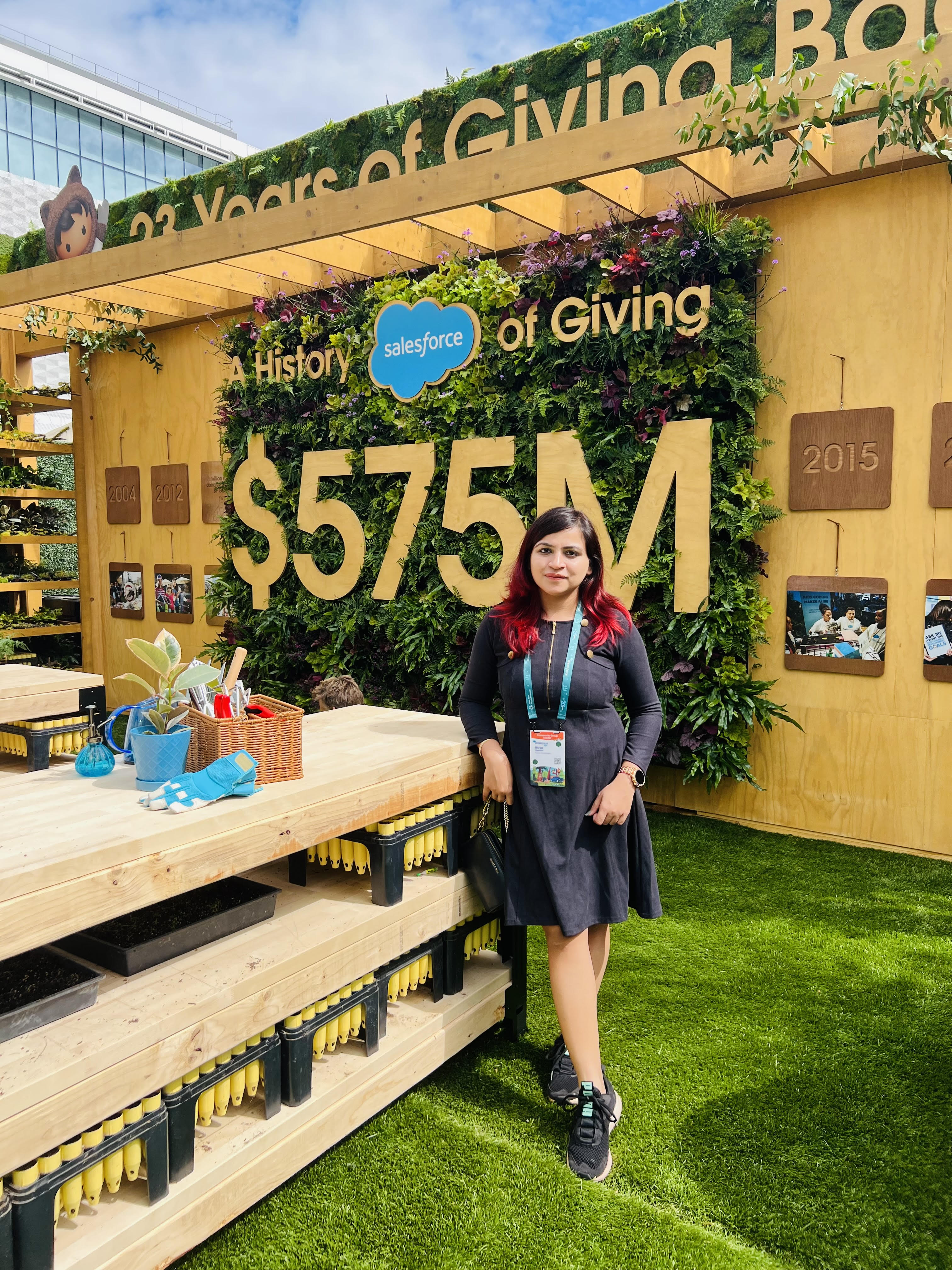 Divs Chauhan - Salesforce Solutions Architect Journey