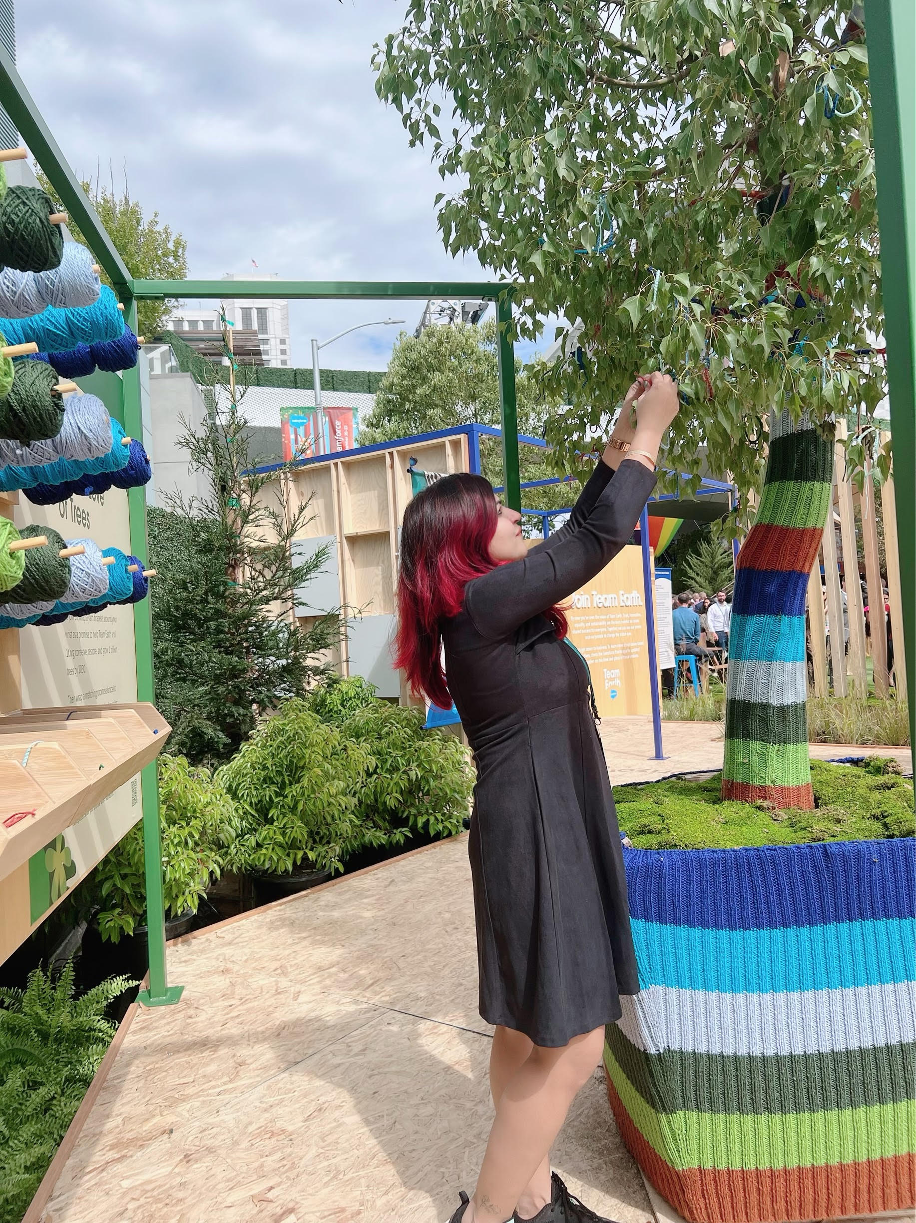 Salesforce Certification and Mentorship Event